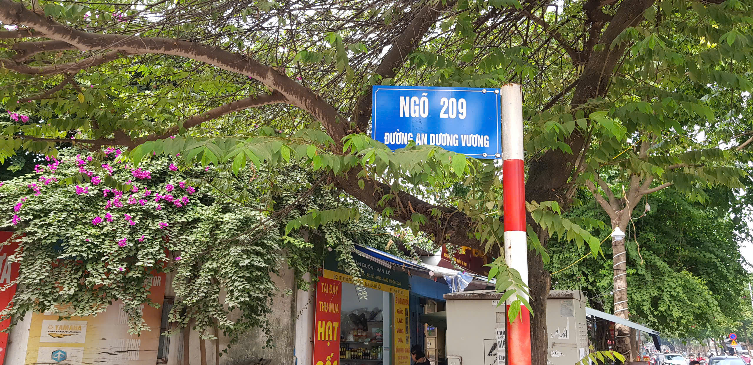 z6444007229672_ae57055c3da19b80551add234a494ae9