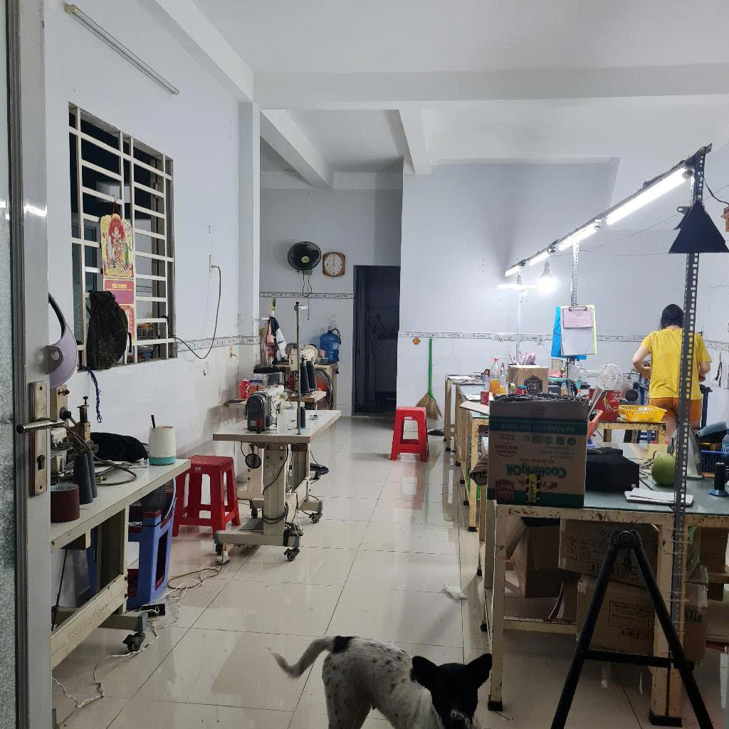 z6444857604146_80063d2e0e0e45dbdd5c00edaff0b004