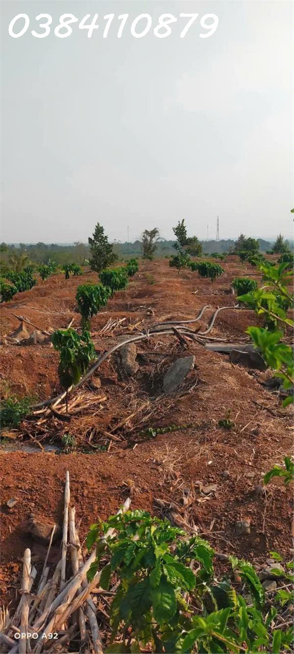 z6446609527599_1bb60f395efd52b0dd9a7335e83d3669