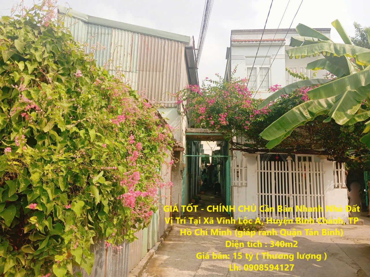 z6446734870850_1d5caaf506eb0e6342b4b77e69dd13e