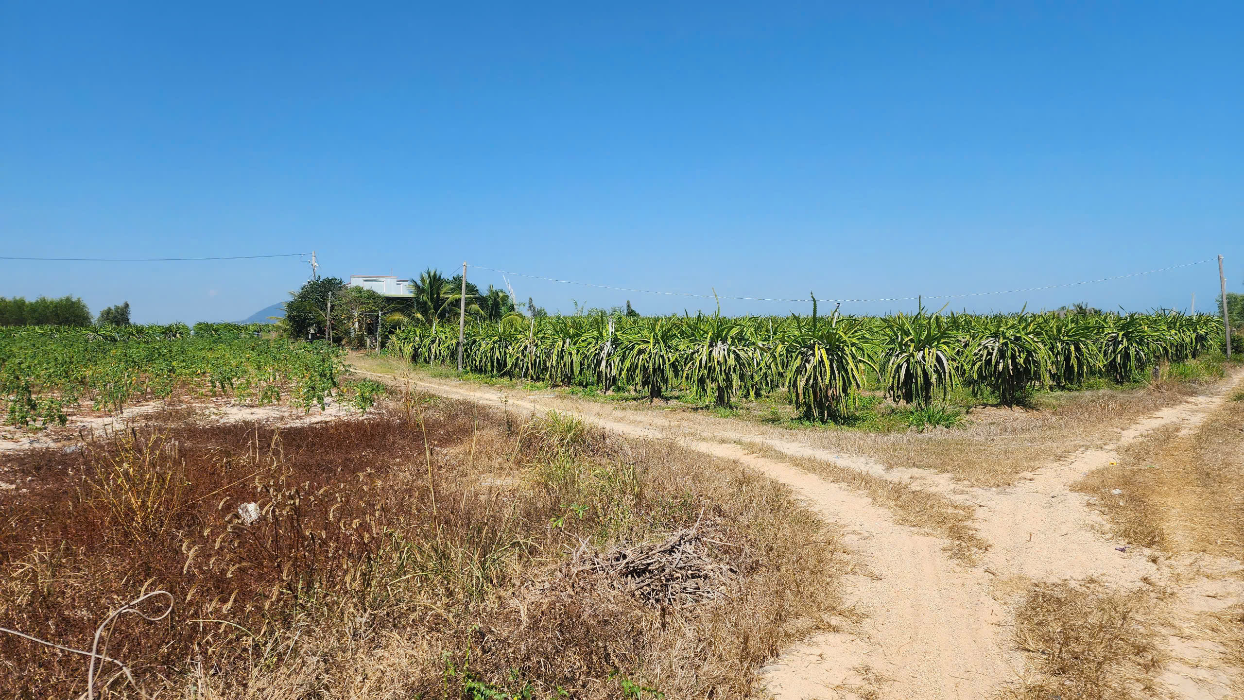 z6447234172841_14913c6b38ec57484635f398bb179ed9