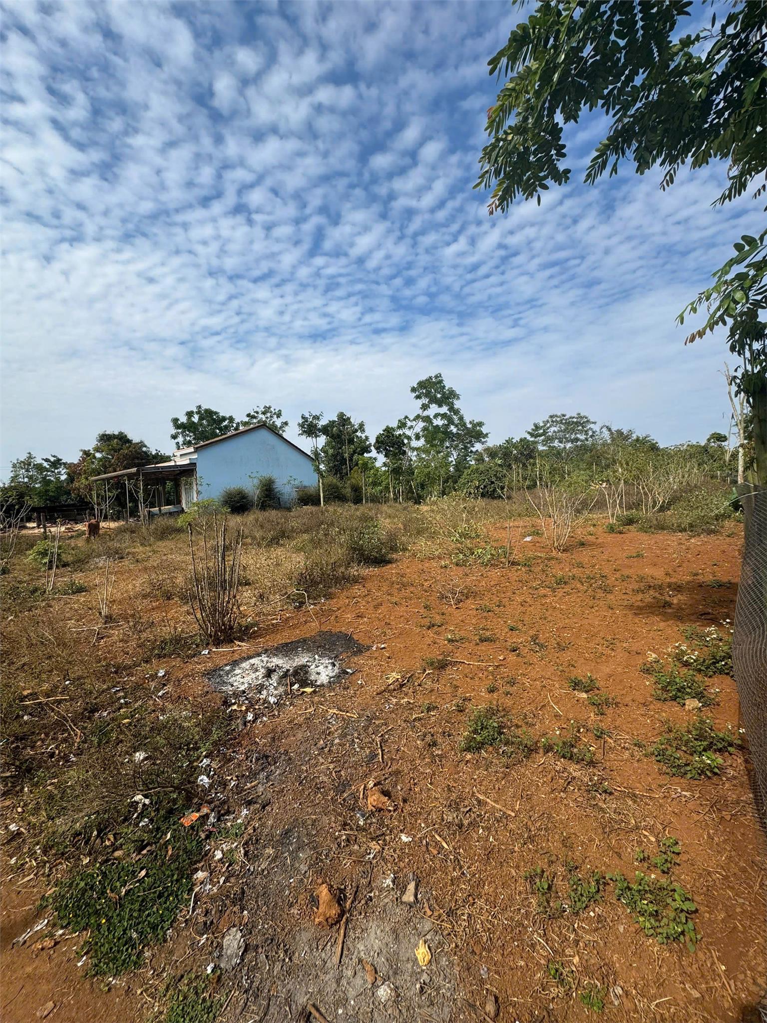 z6449473425294_74d869a9d1a800ce86279c1a00bc0b54