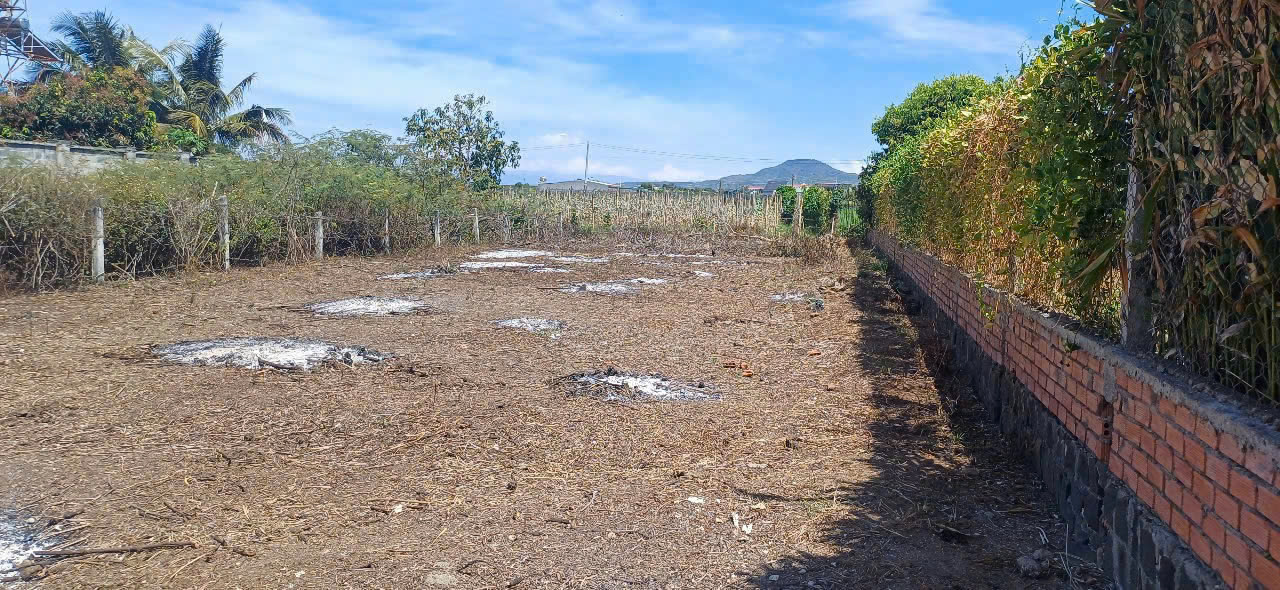 z6449749631669_33b4ed0c14614078121efe9ee1ad64ec