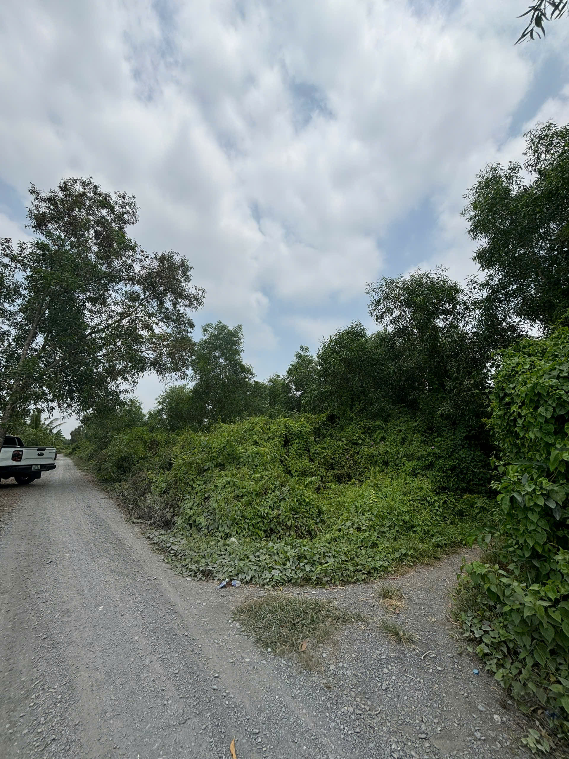 z6450571745982_52098777af27ba5fc988b90d53c1113d