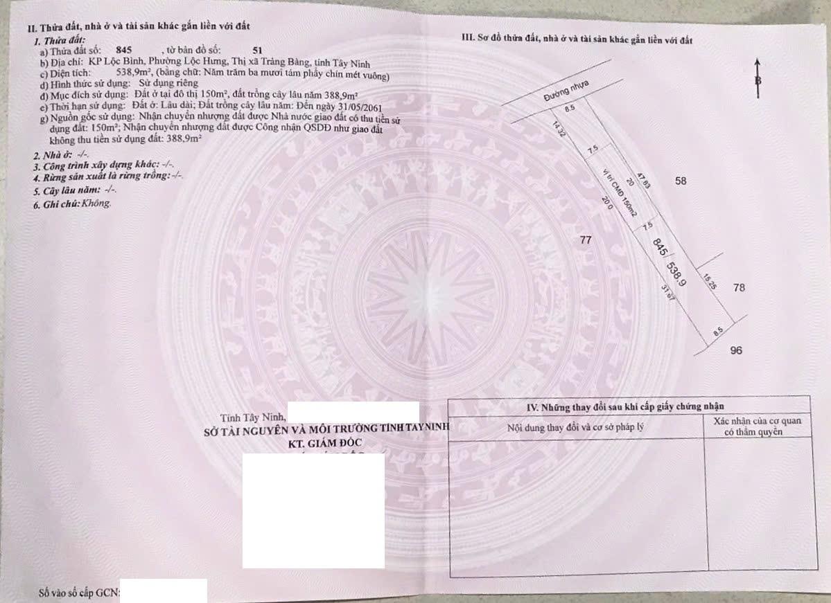 z6450989558341_9e7d3ba58dfeafb53f1b4e74dd036860