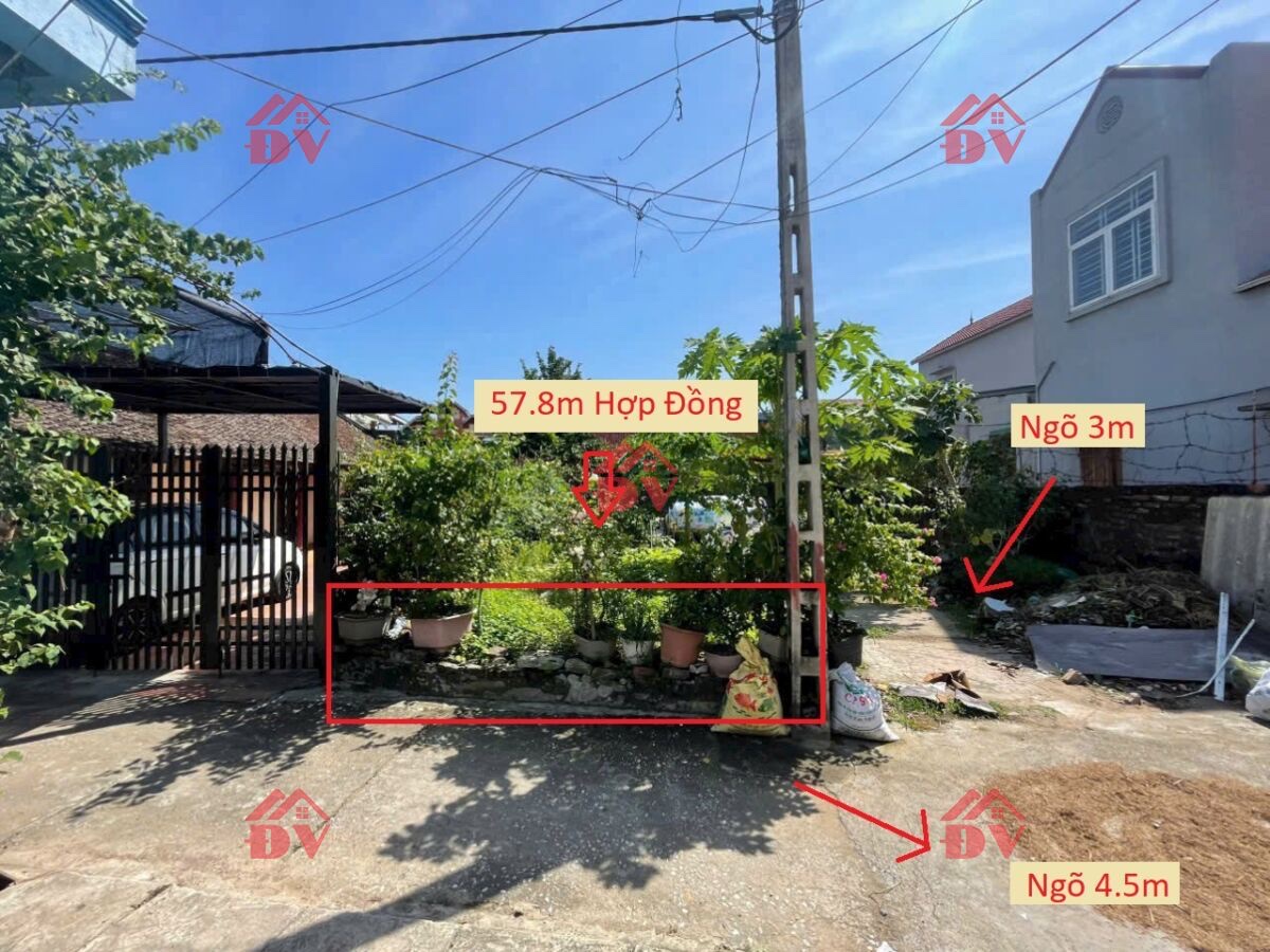 z6451245714828_2c7926ce6ec623383e81d9134aa9af41