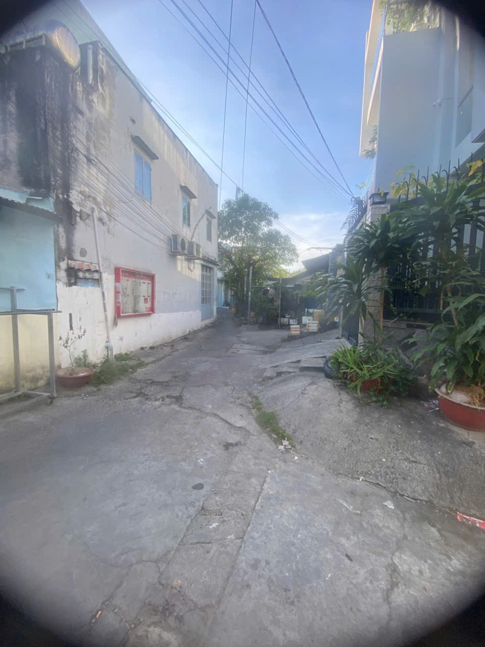 z6451464262604_d7db081d1b5b22918b7b7846ff7323f1