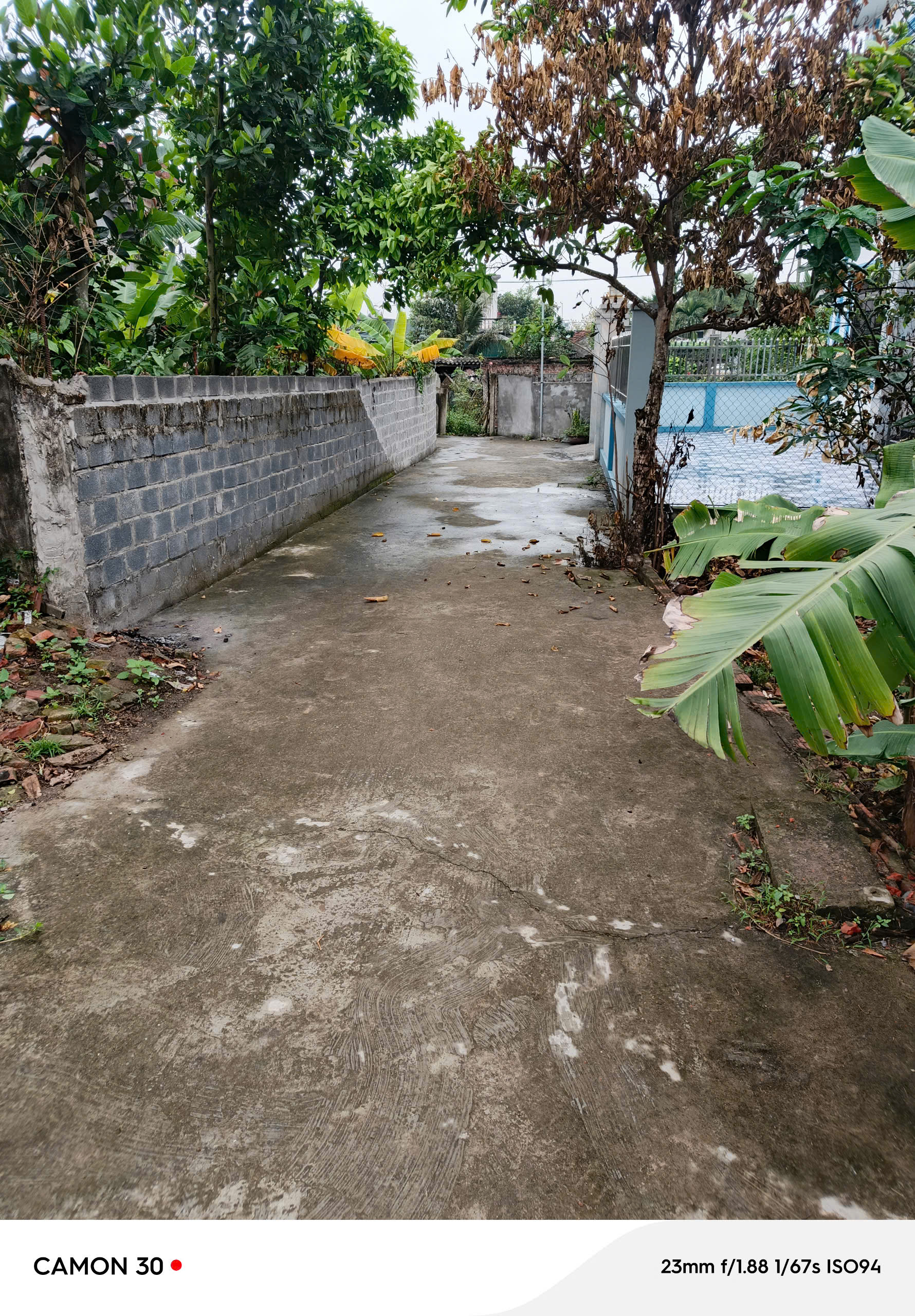 z6455128035095_0b234507f2ed56150db46cae4967dad2