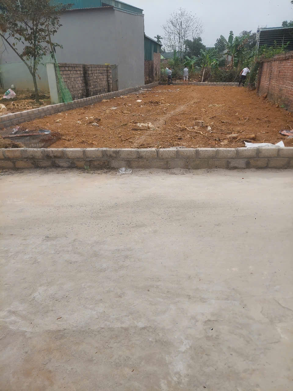 z6457465951322_4ba8f747b6b4e036724a365eb75f4491