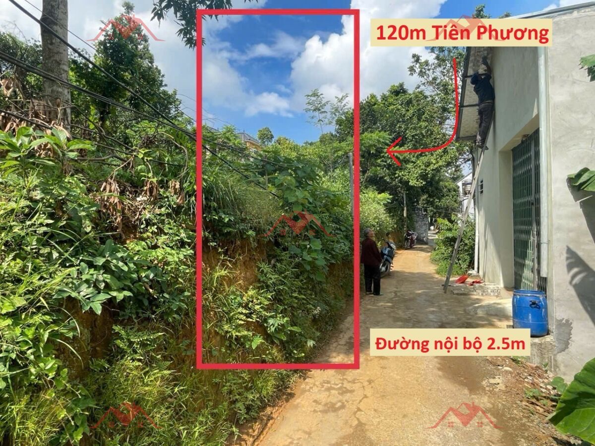 z6457593186973_99ca9b418bd6236730d49a660ff5ad57