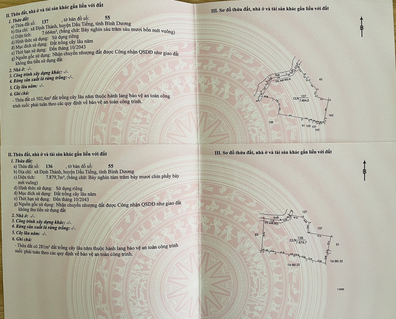 z6459620339691_b63a6008cae7f9ff70076104ecbdeca7