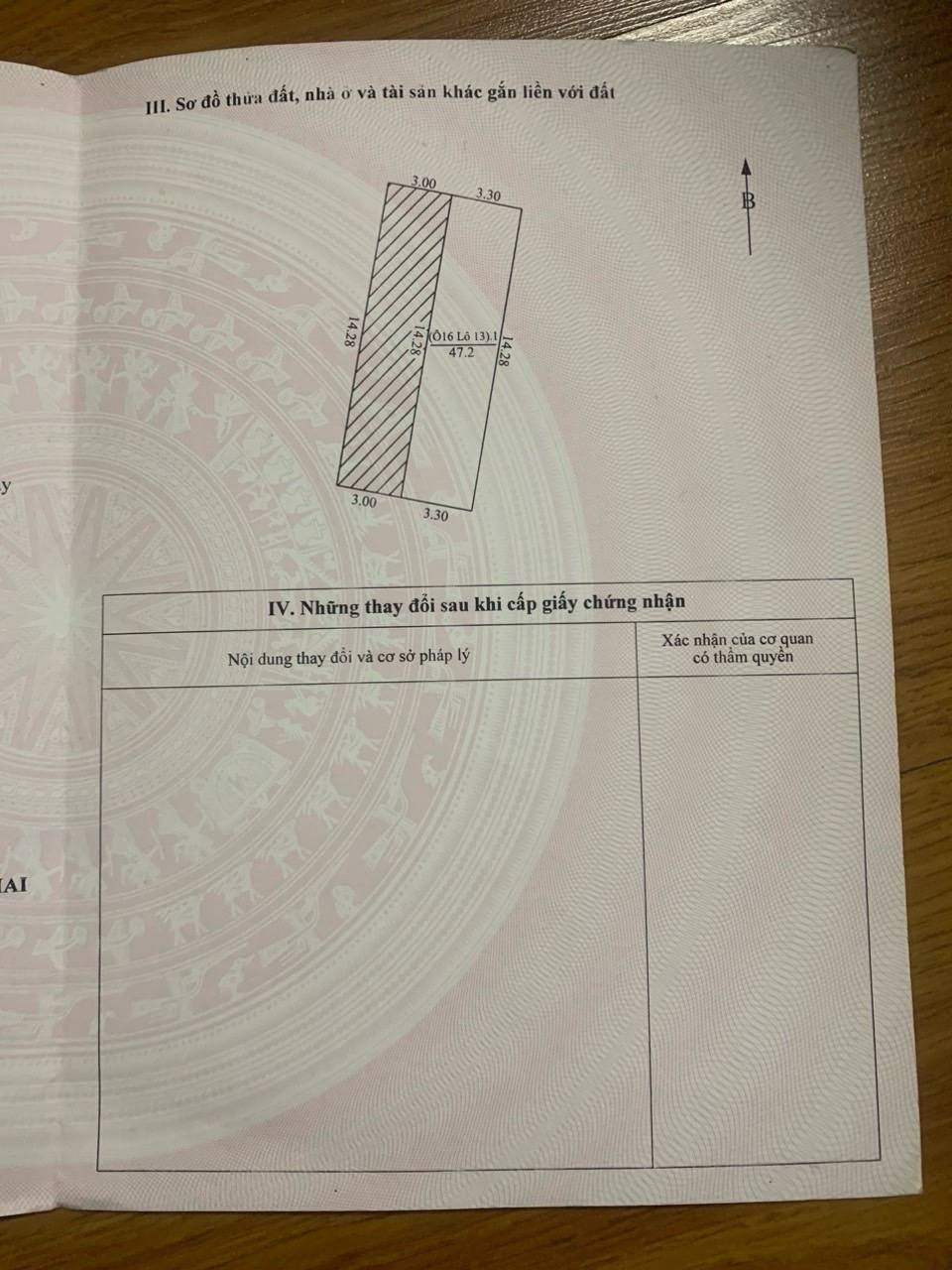 486037774_1017014217044407_8321758881109788193_n