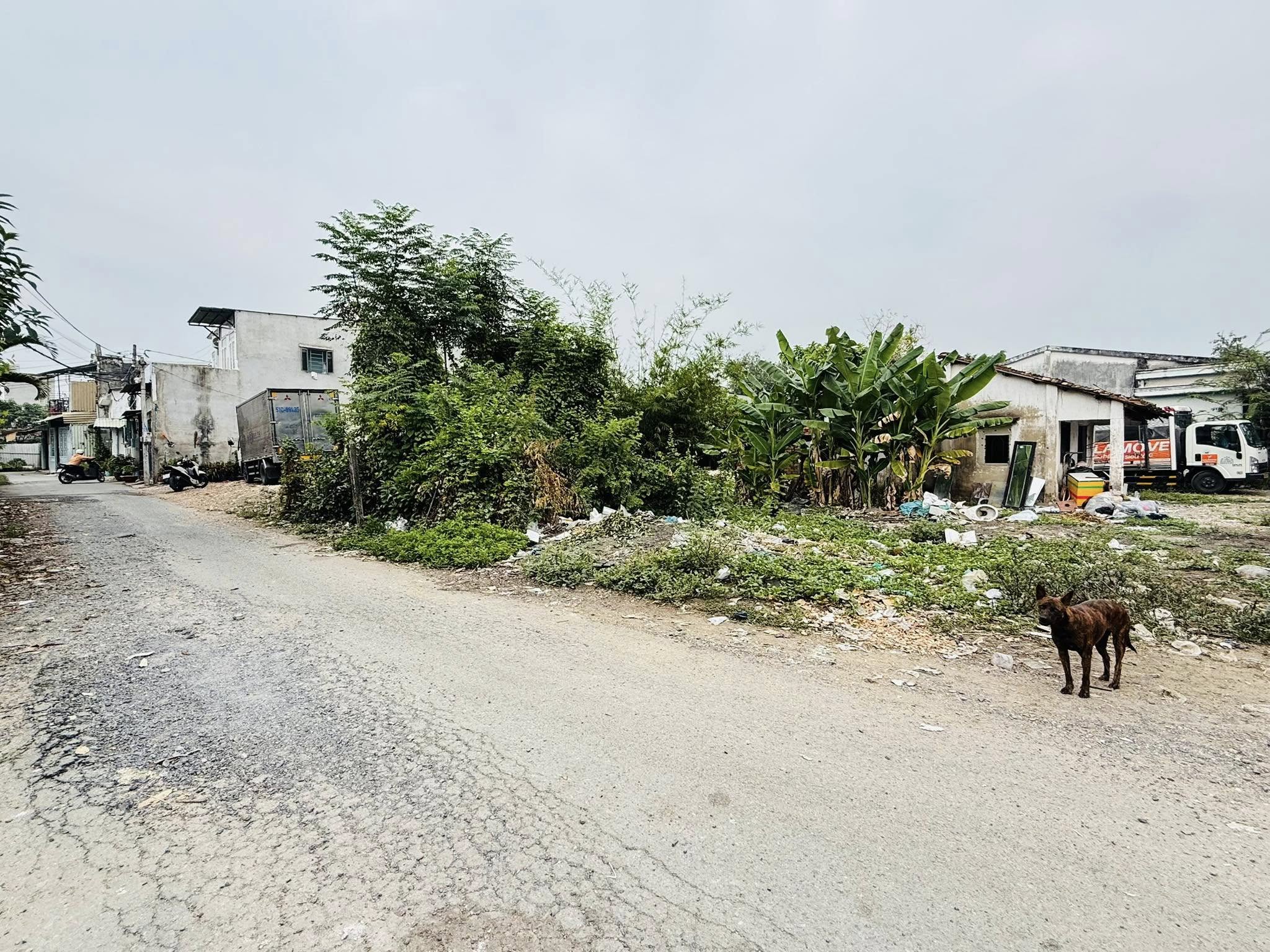 487217558_24182435998010923_6729237126355188802_n