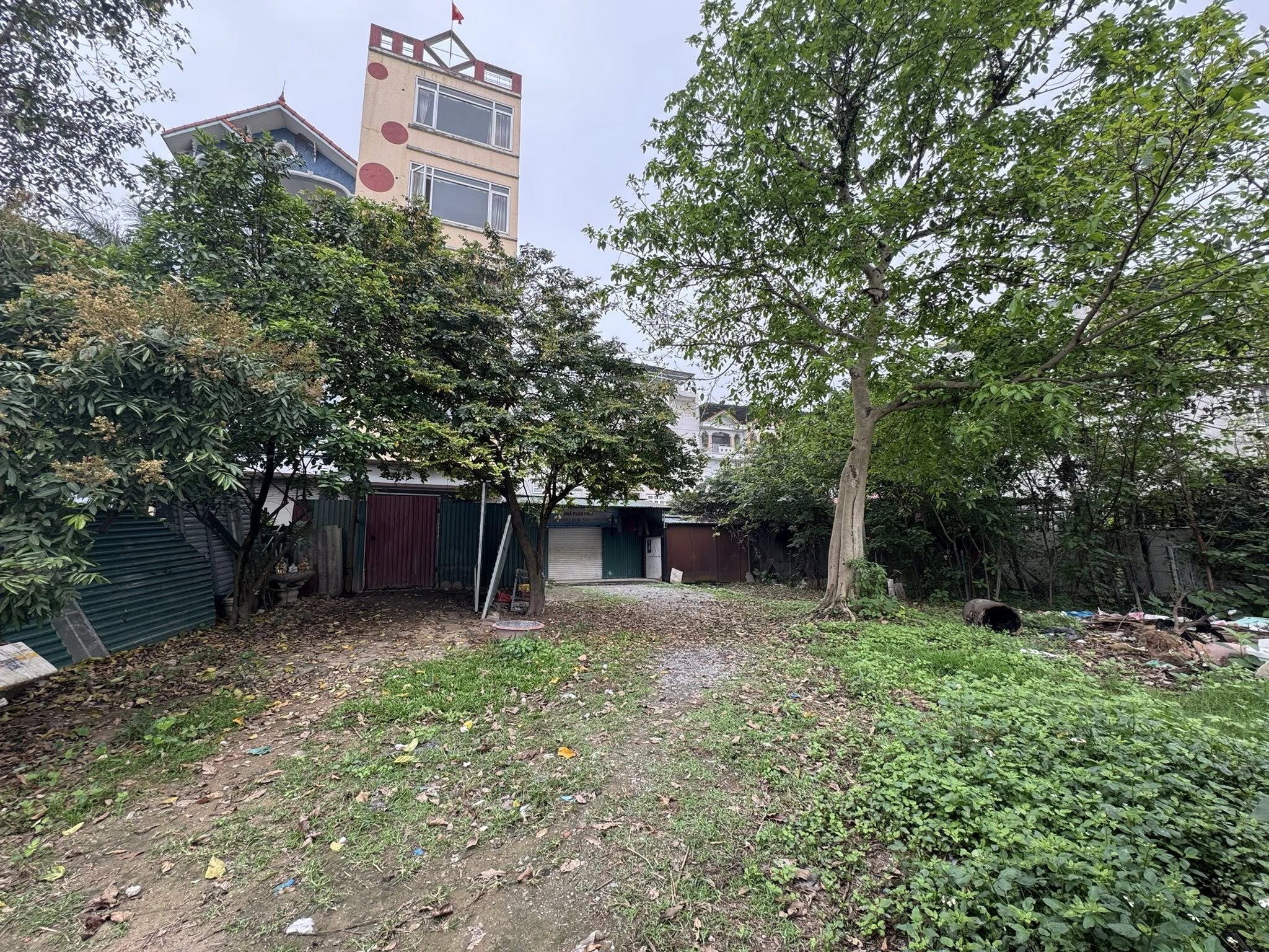 490317173_10031689013516553_8545491133060046475_n