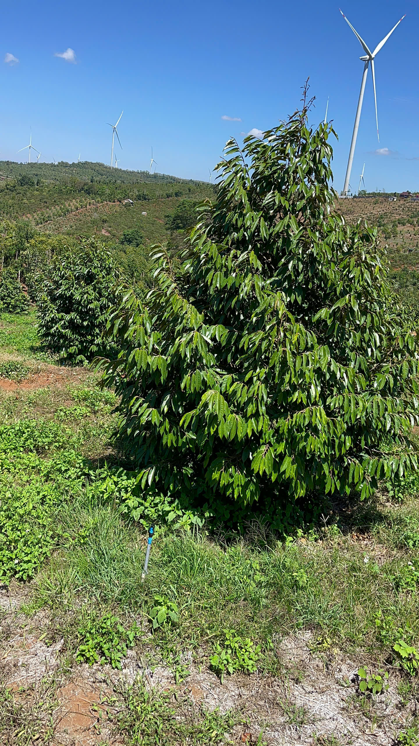 6d830b38bb9e0bc0528f