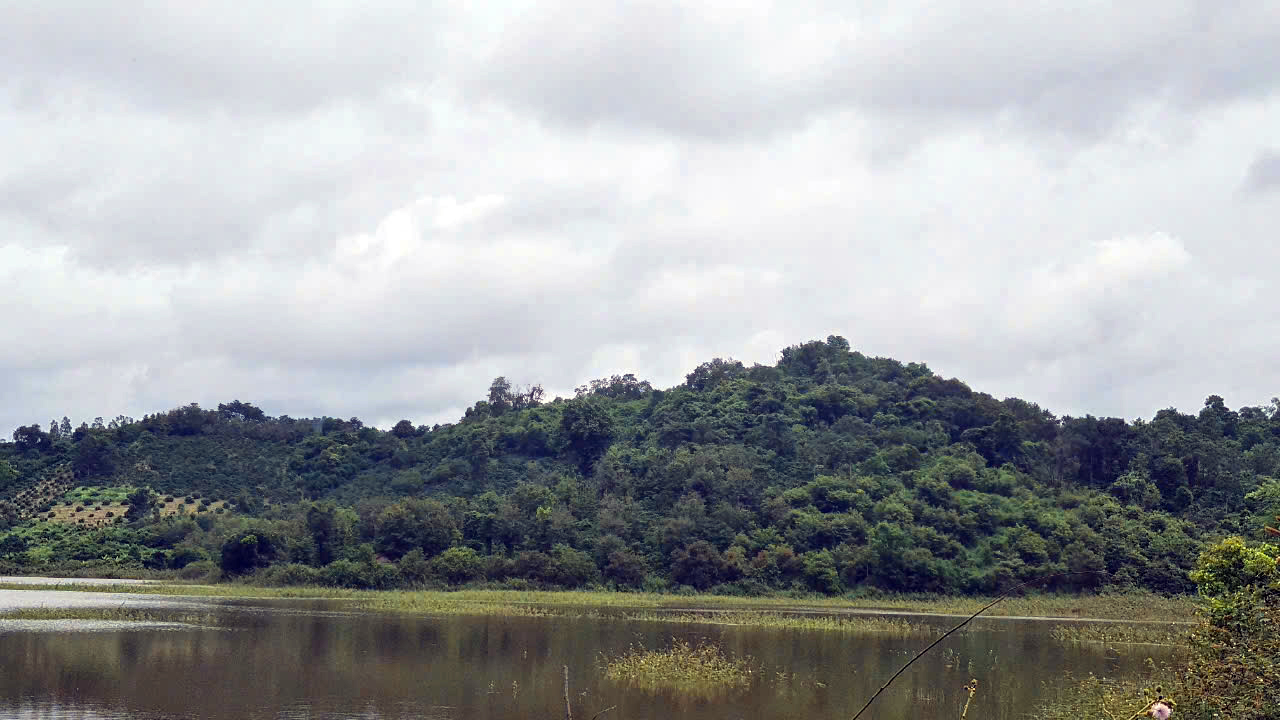 d6ebc91a5435e76bbe2439