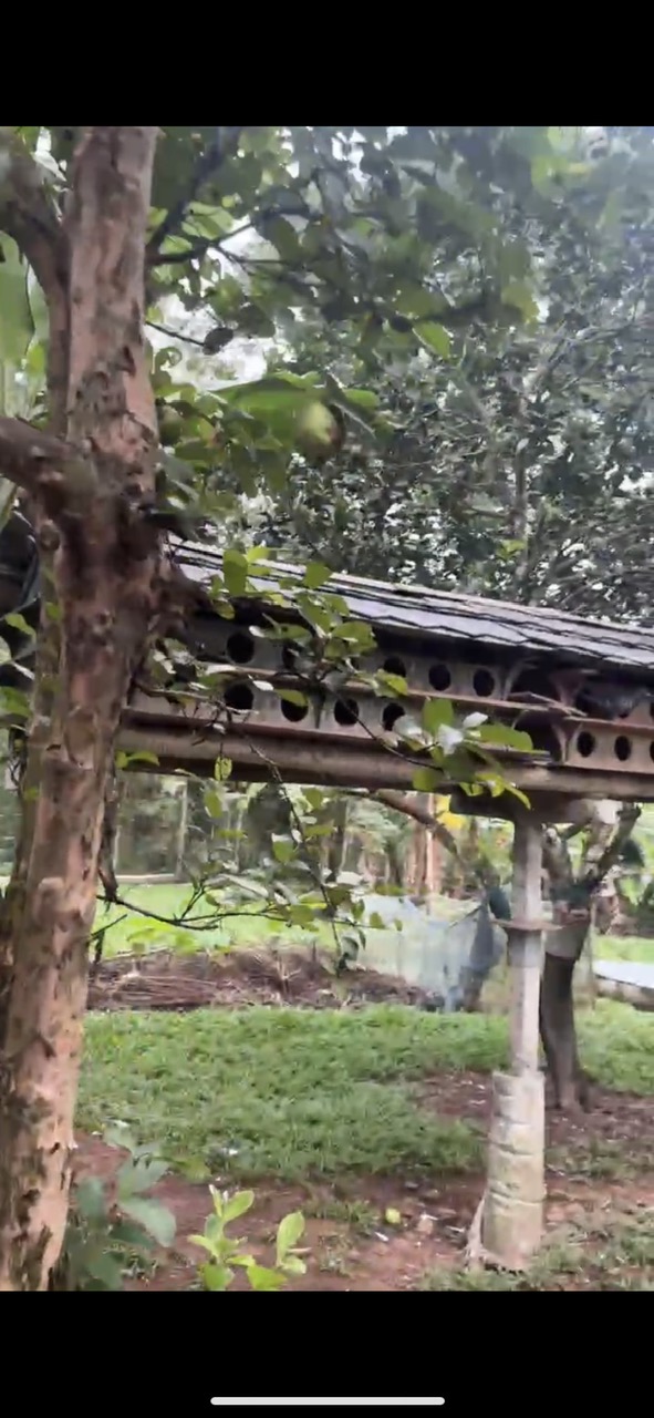 e10764591bfb0fb7ffa37fbe97d93cd1e07724d8