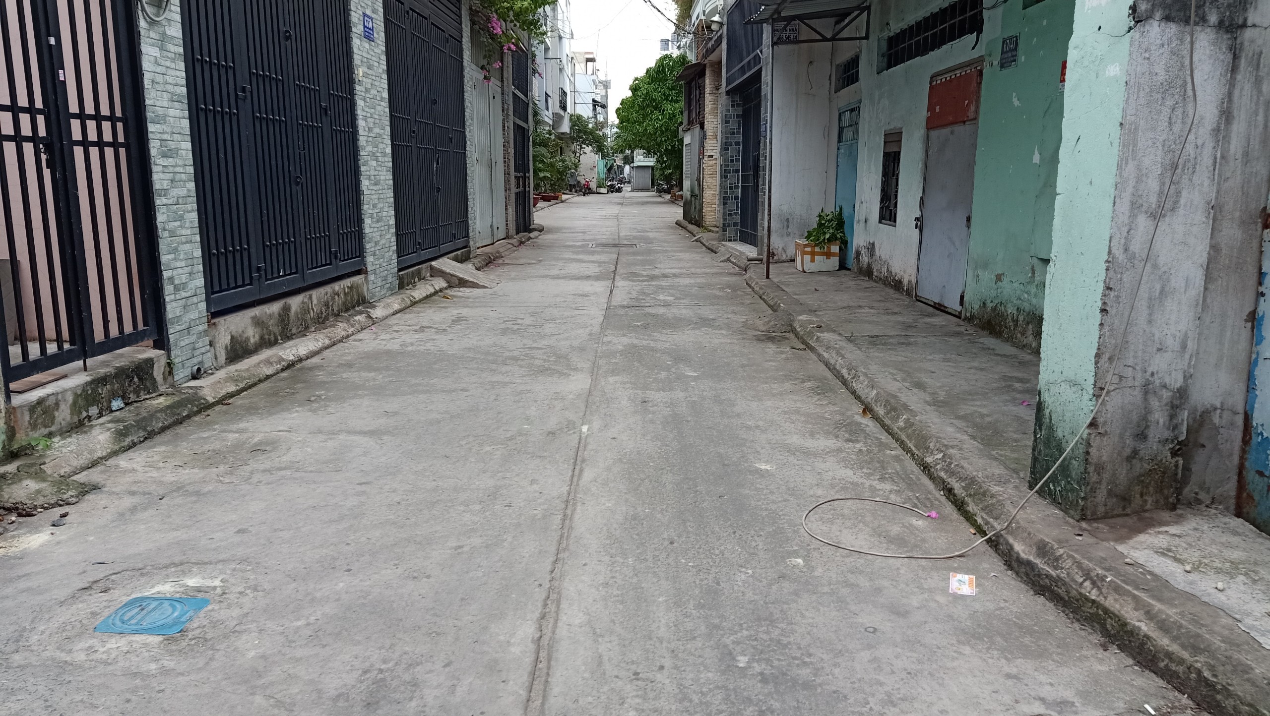 z3004471707372_9c5511c45858683e170cef9cceb72d6d