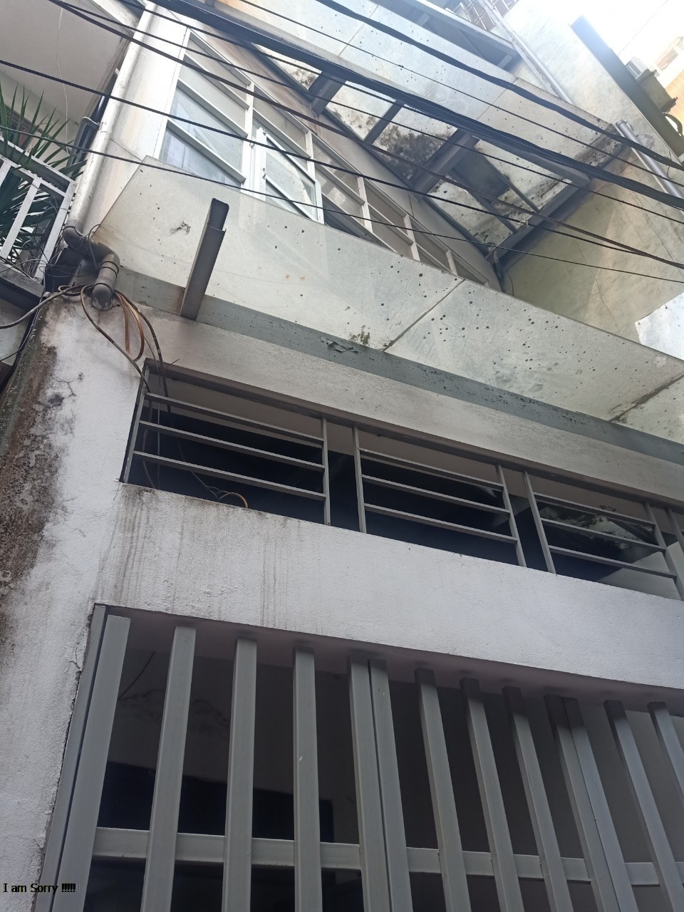 z4174895051953_c160f9e295eed8b8203793503a7784be