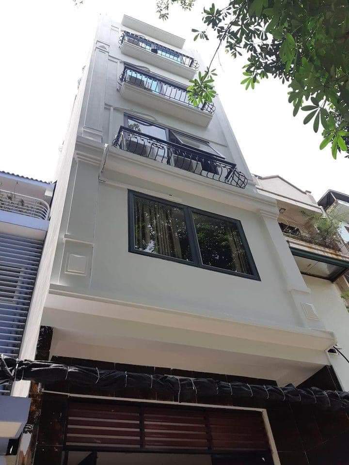 z5381929901524_9f52b99d8a34ba17632b73af7d9e0787