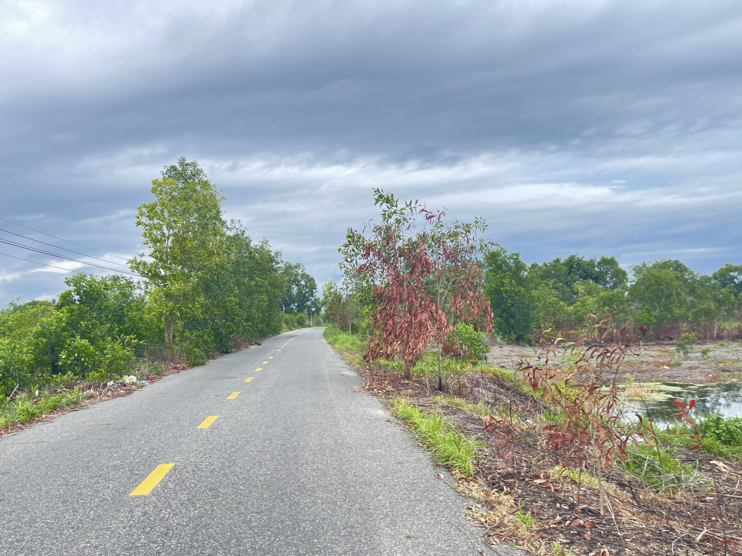 z5609909411750_d07b5121729de80d6e140ed0e75cd3be.jpg_bak_638733025388511934