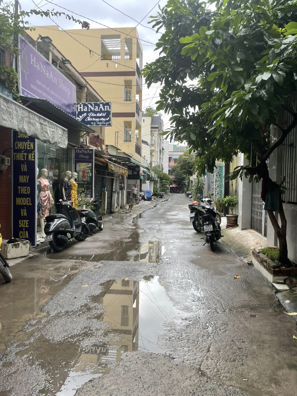 z5699074974179_e0eb5316efe107968bb20a2bc8b51e1a