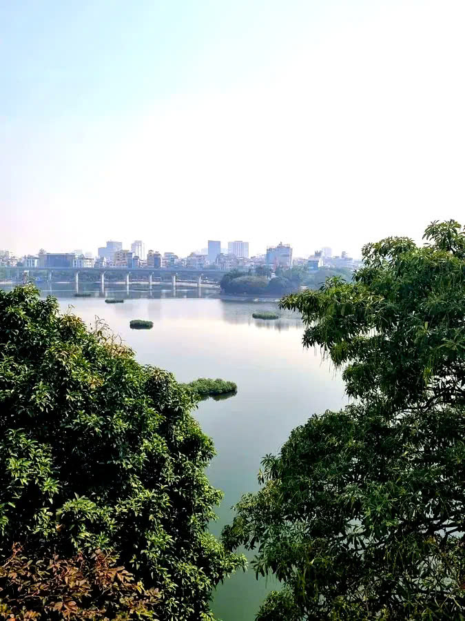 z5923617376463_31aeb3488260e8d57181e8c87193eaf8