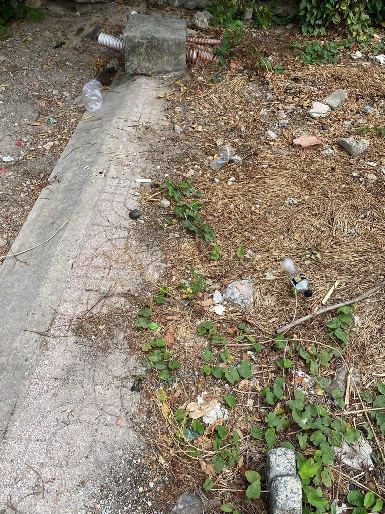 z6115455690570_2faab8bc807aa95db321cdb9ed3e5548