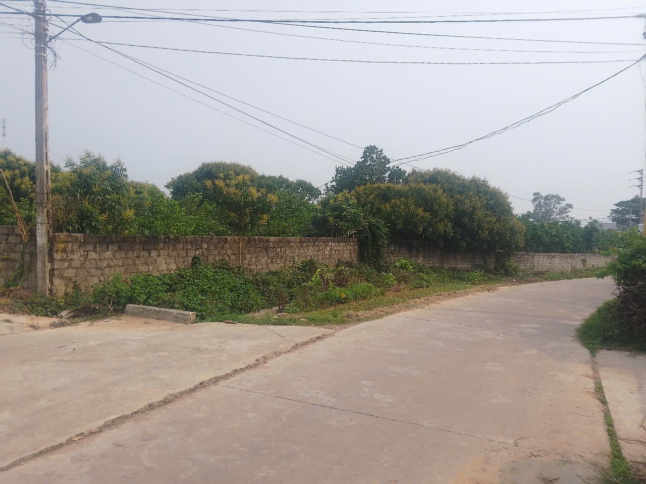 z6440674338444_b8a76cc9e33636991e75979437436554