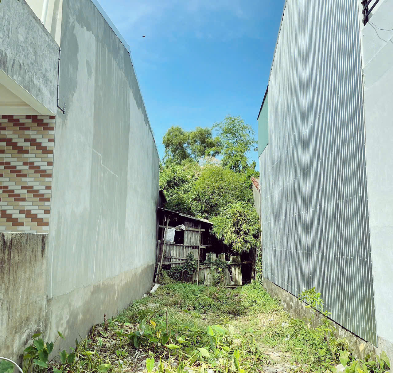 z6455855622786_5d5a005de92af71c8a332d042d204026