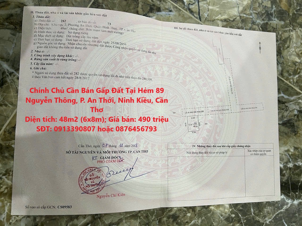 z6460323766507_b42cf74291683655791672de0c8a05cd (1)