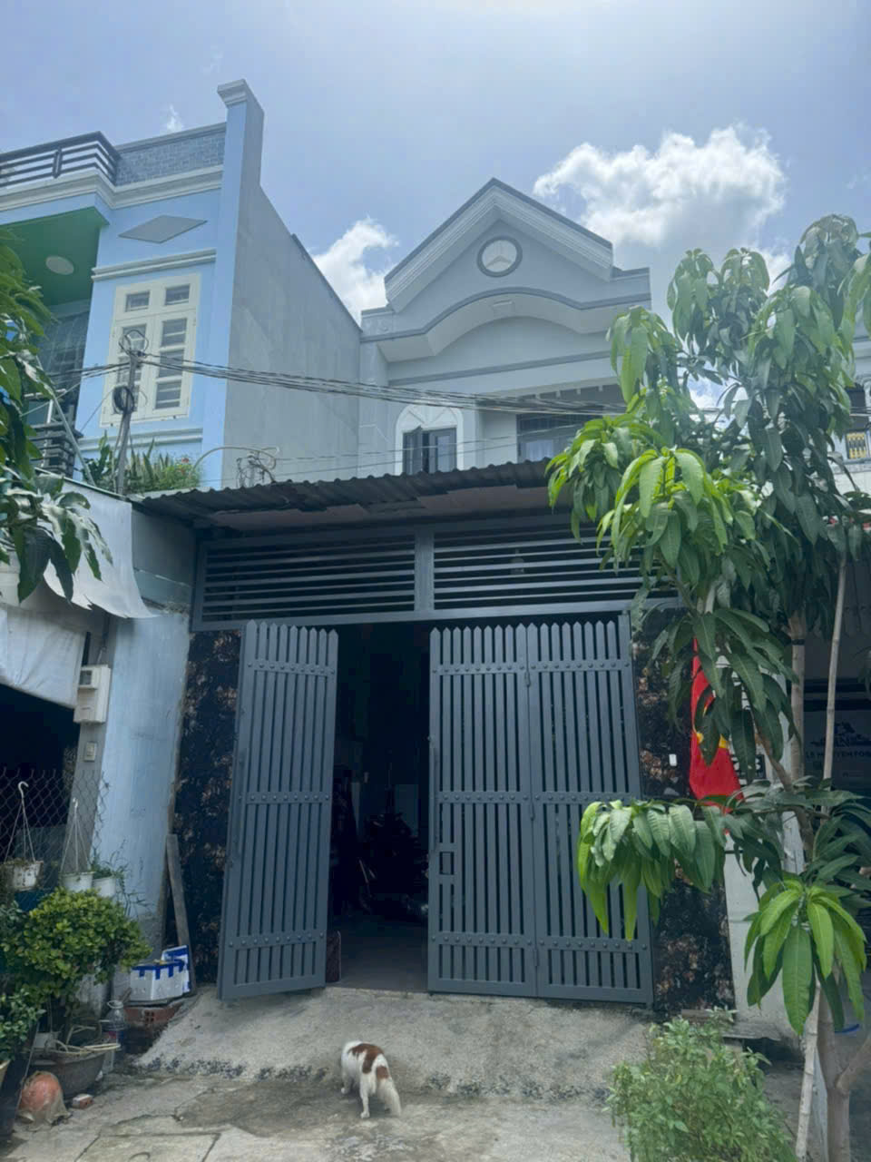 z6461101625004_58165897740b43c1ce20ef7e86daa8fa