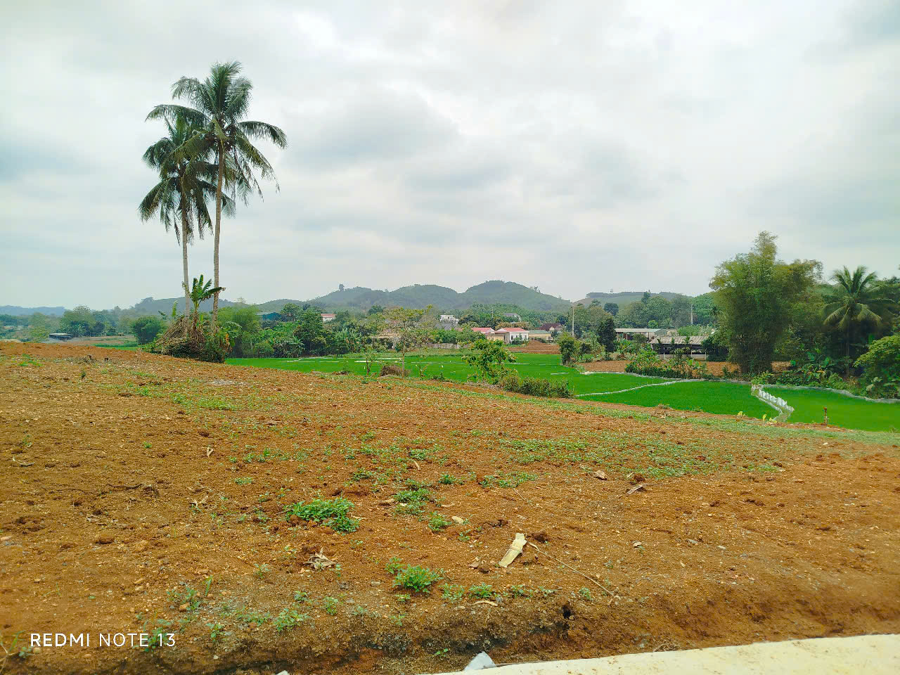 z6462948703787_2a0c175d4f6be7b3bf9d6ba207fd7e5b