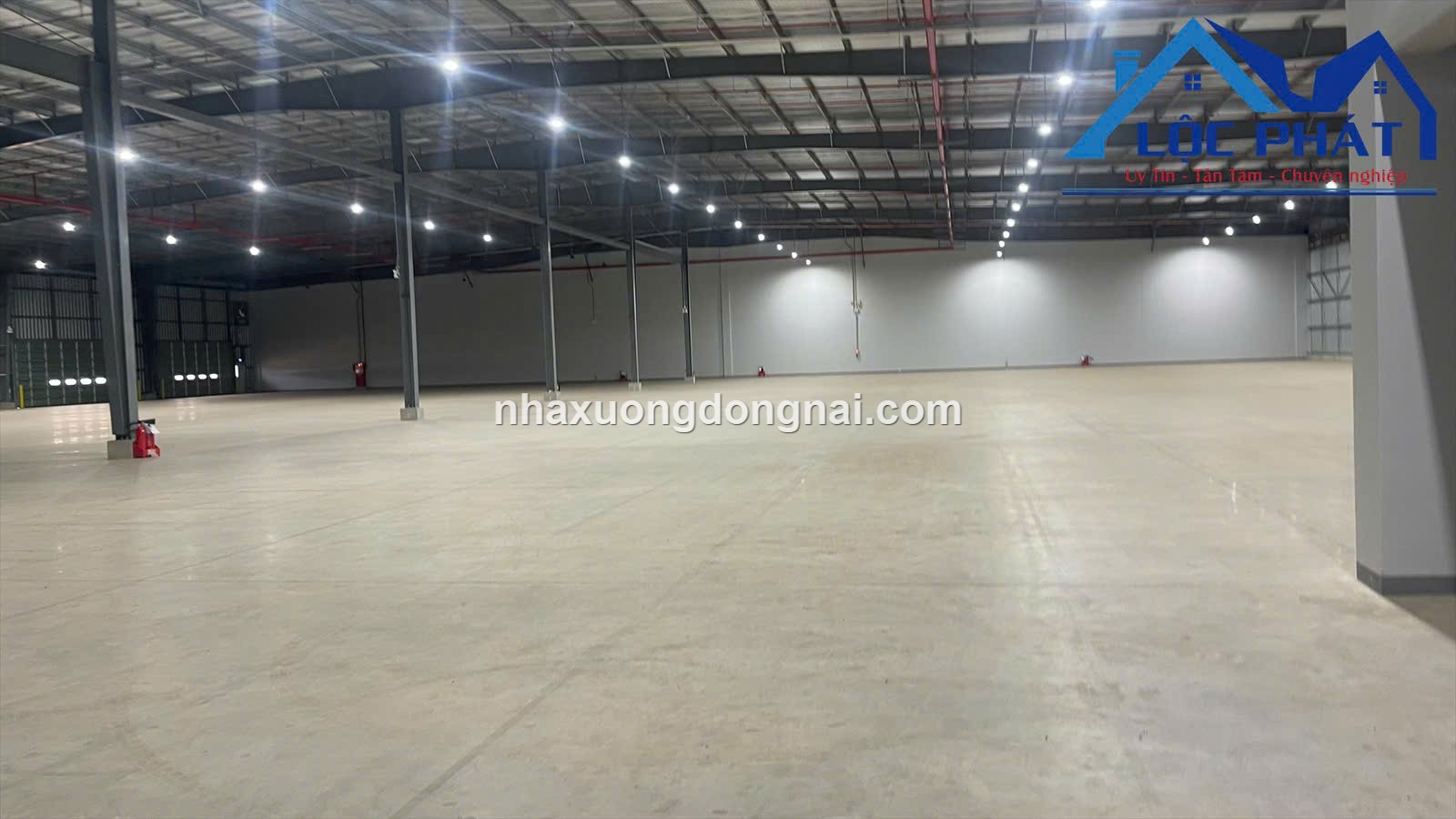 z6464086137306_ae7771a6f6dffbd3e1df7a7ee41d4a51