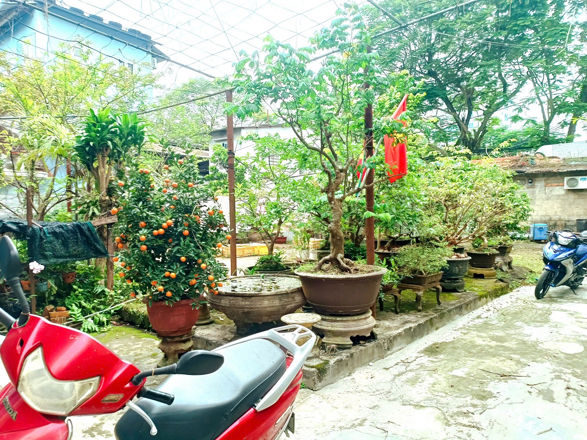 z6465290070690_43a9f8d83acd1111ccb47c530788fdaa