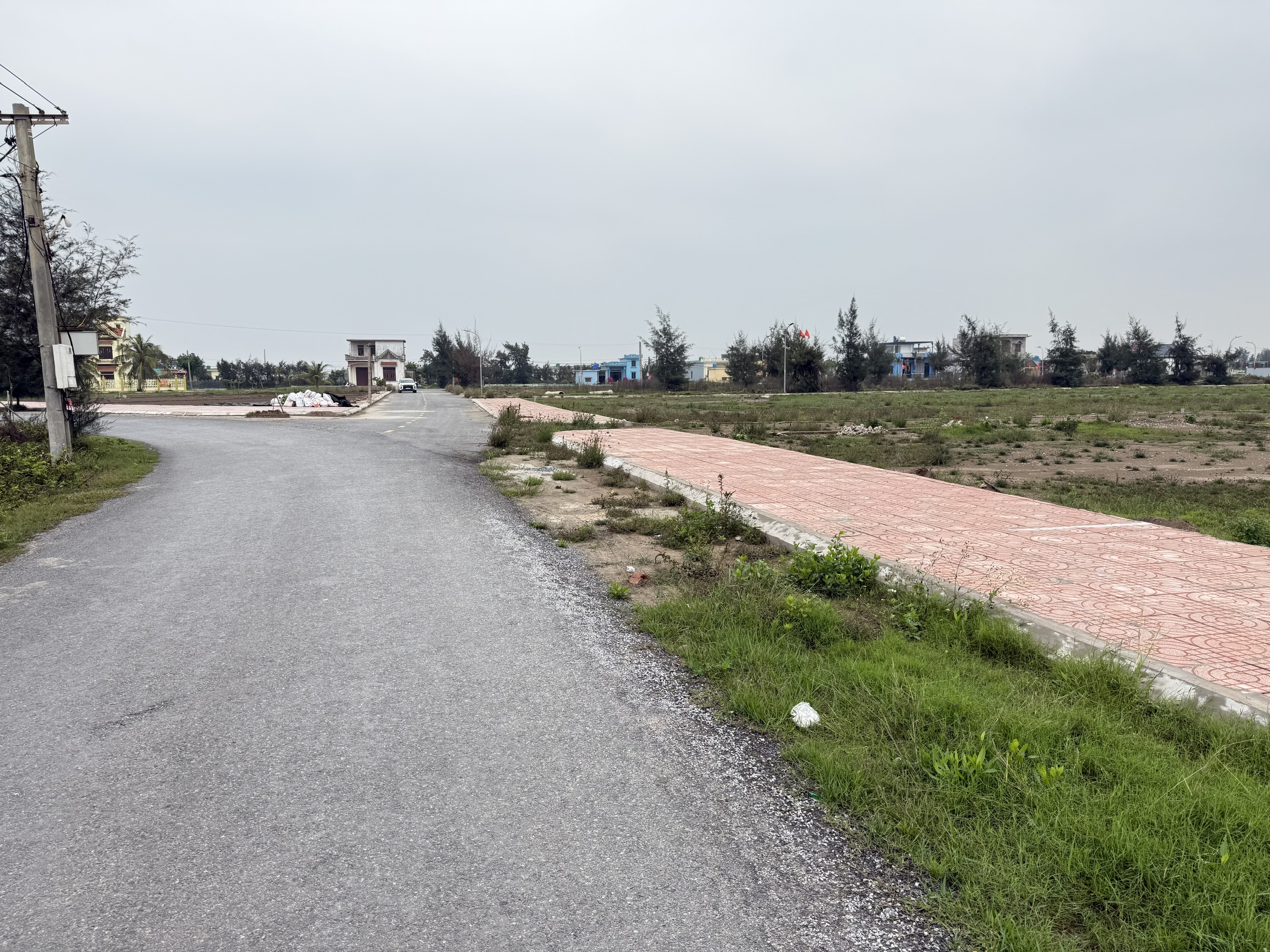 z6465705414826_25bb9d204dfe3af55730a62ea6a83d00