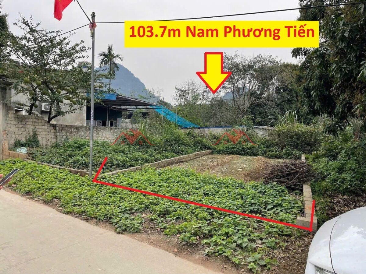 z6466208251659_0f41d4543db0c57b3f6d45d0b03c327a