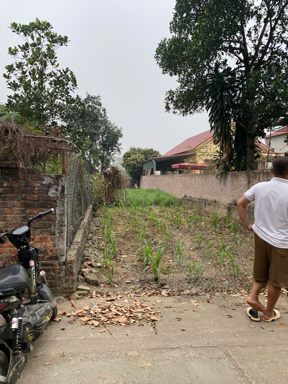 z6468208044824_d34417c1ad1c727e6ef39946550f1685