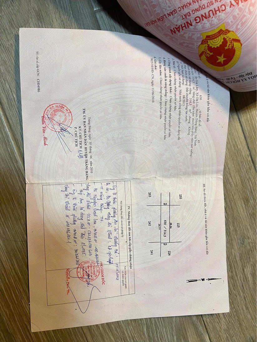 z6468473649051_93f03106676cd9778d62f88d4c9b38eb