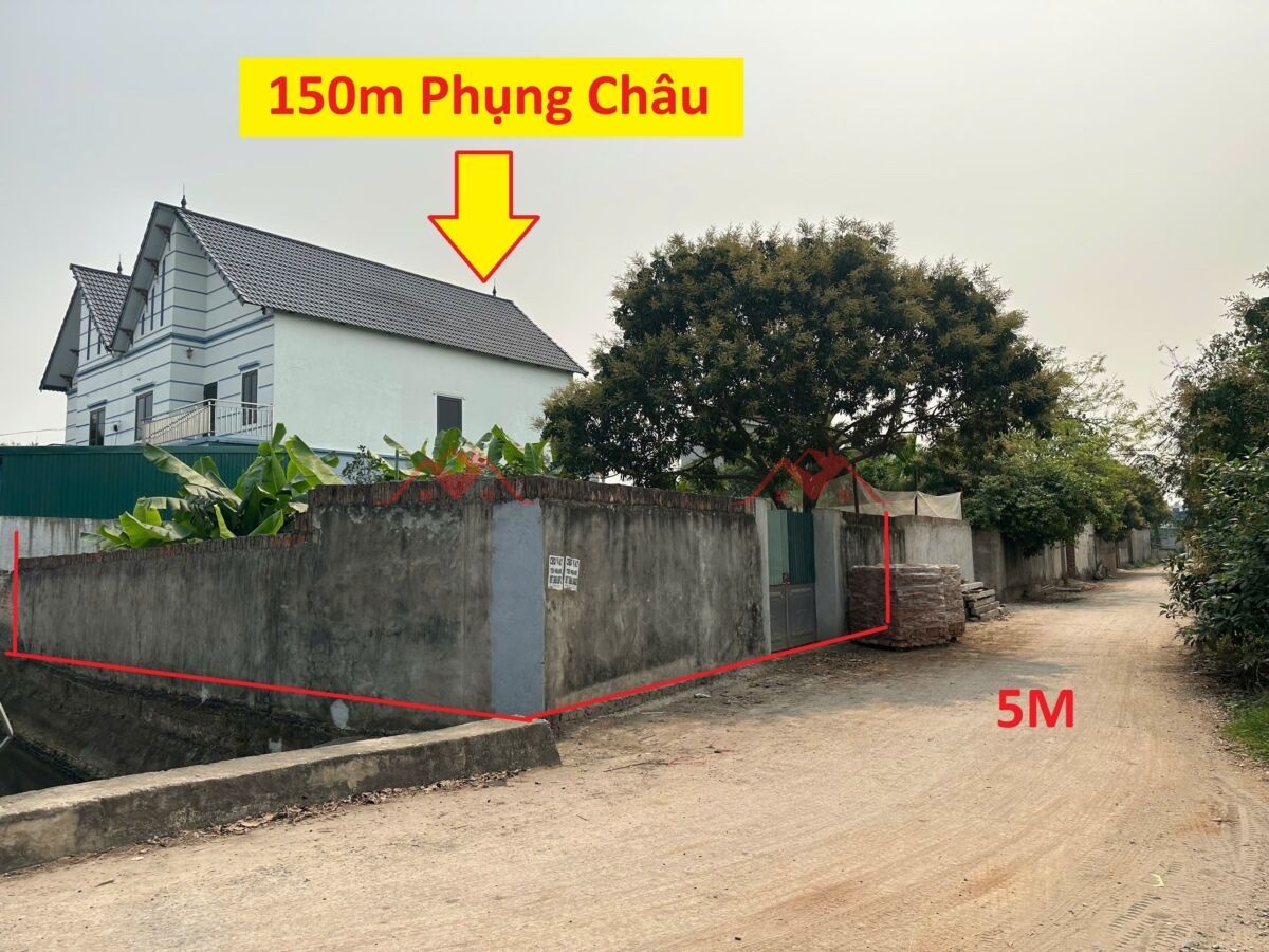 z6469369994229_cfc730e61d59b32549cb770c57055400