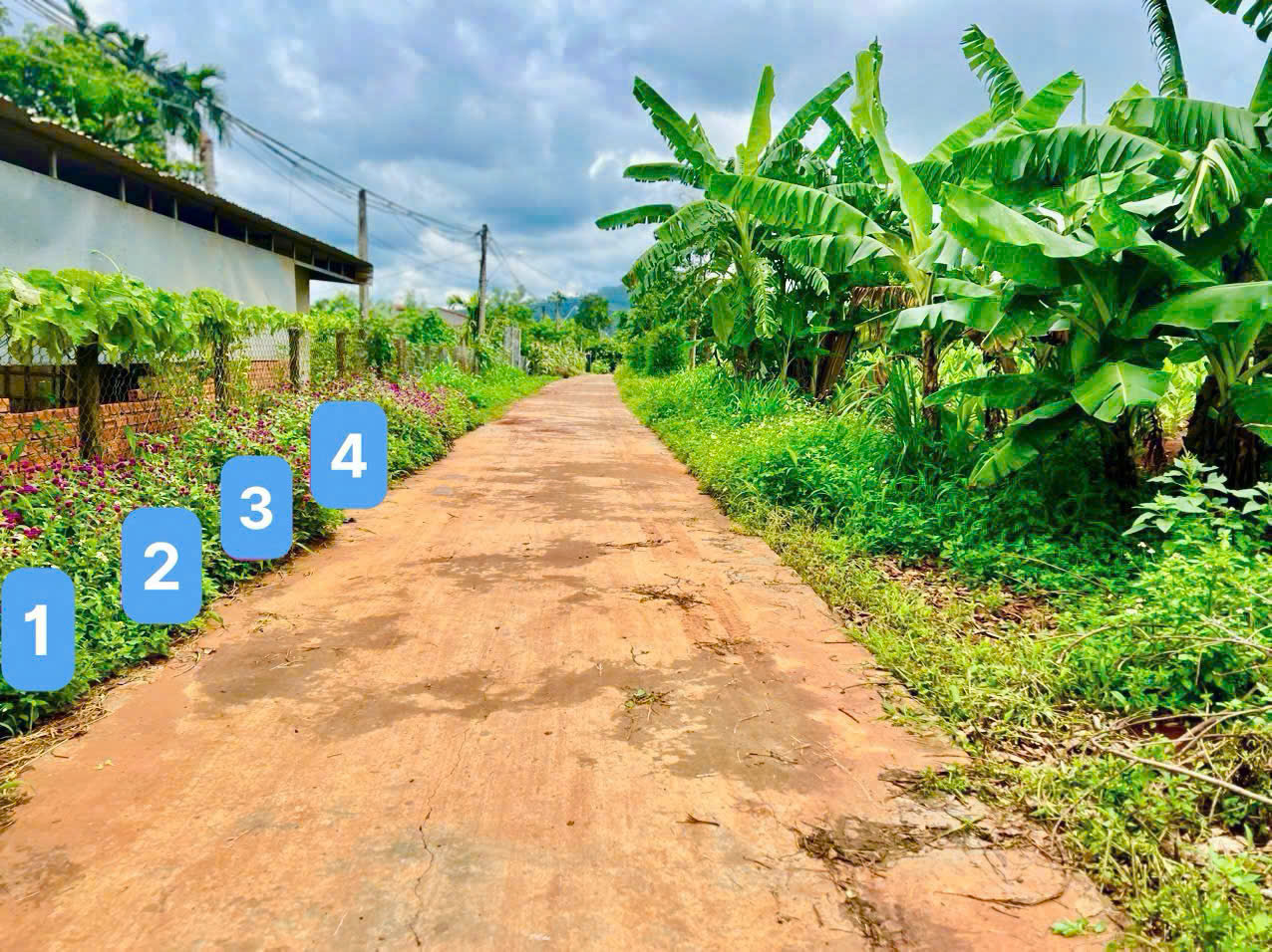 z6469525997396_278f2f4dd8aa36d854b775a6f4961f37