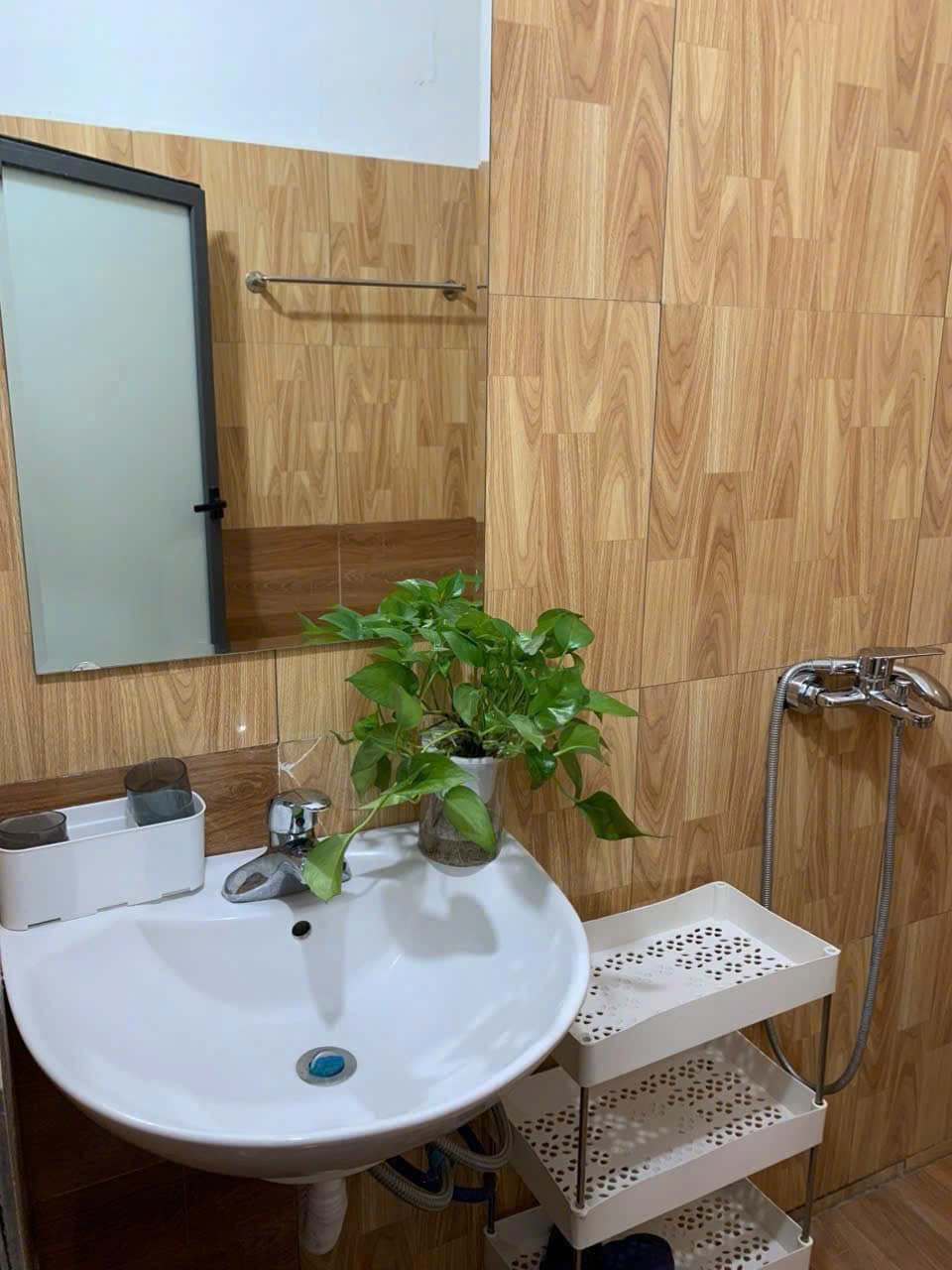 z6469565672510_fb8405dc06a7873a012996f81d9d8da4