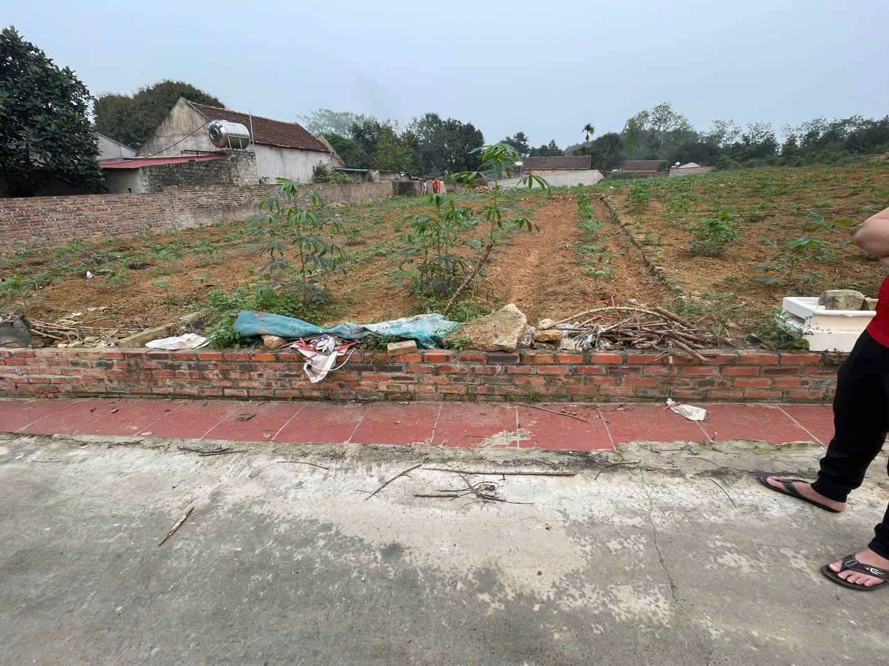 z6469928451509_3eafce48562fc8c7bfc5e93c15d8e454