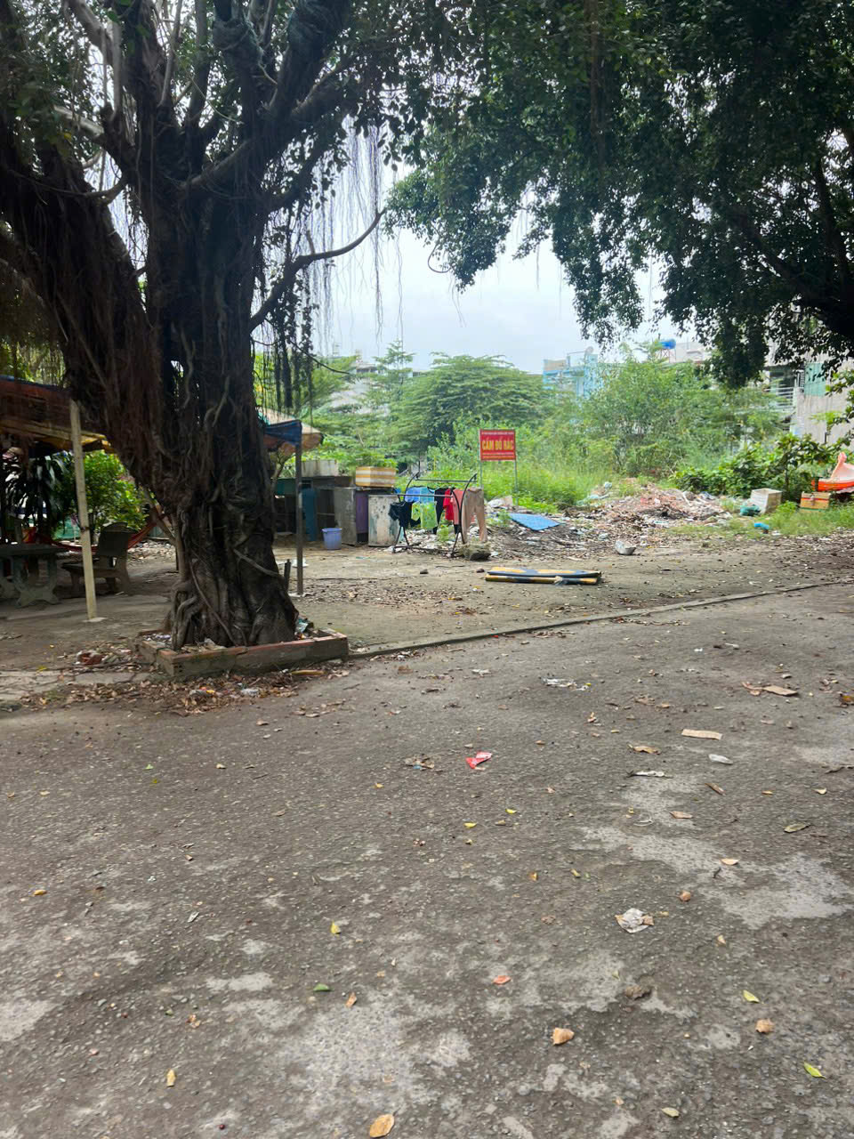 z6473171210023_7ffa4a31a9b52529c25295097b45858d