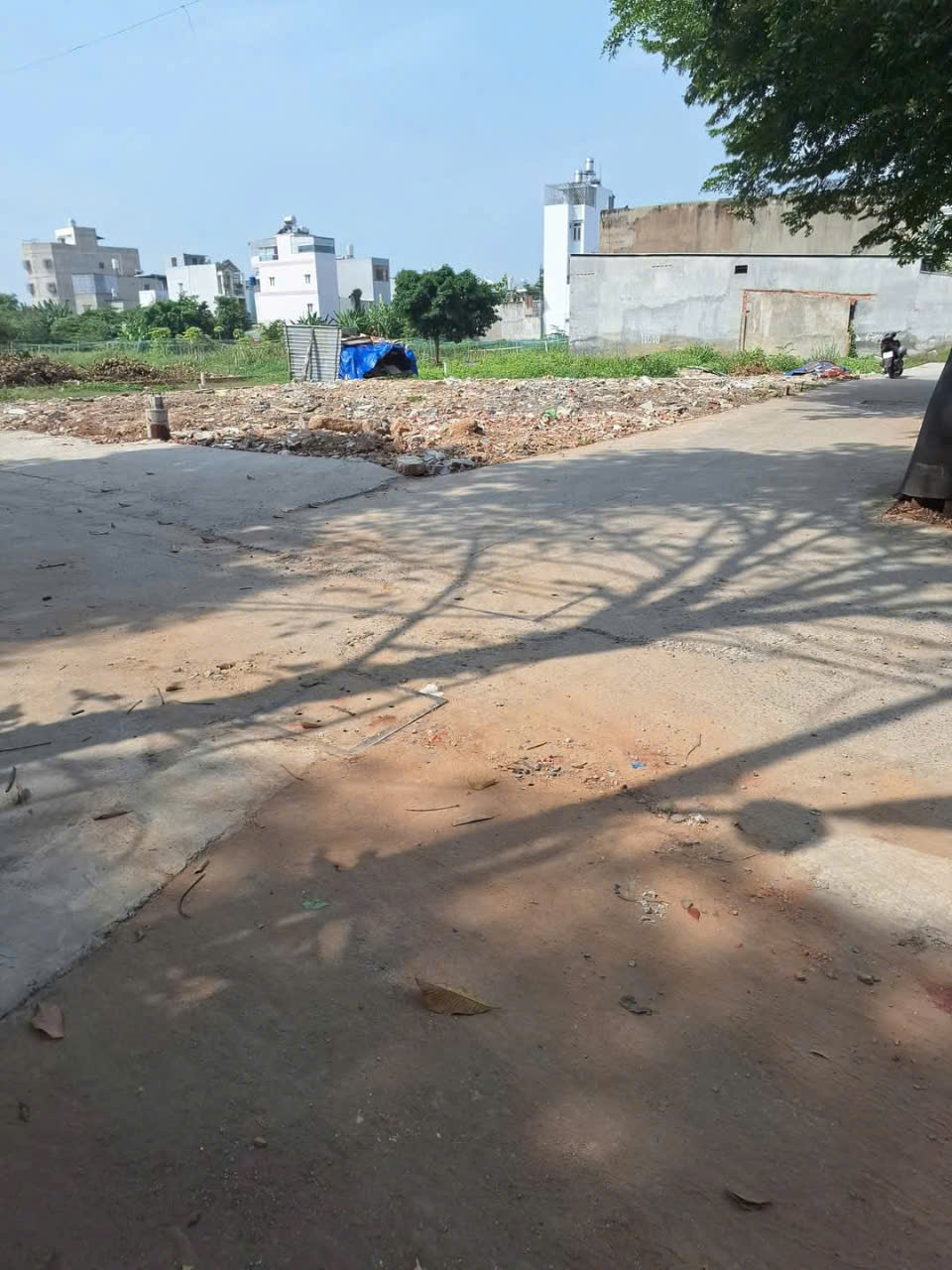 z6473188777165_b11808c4eac3aea670aee1f87ee12e90