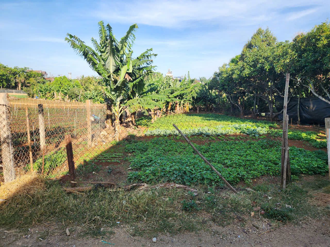 z6473390507404_1a2bd243a5c0aa1356c5ee4d8ddde9d3