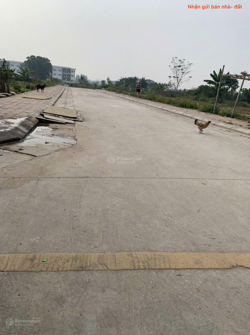 z6474249949010_7a5737f27ecdbe38c65f3576c90b9e8e