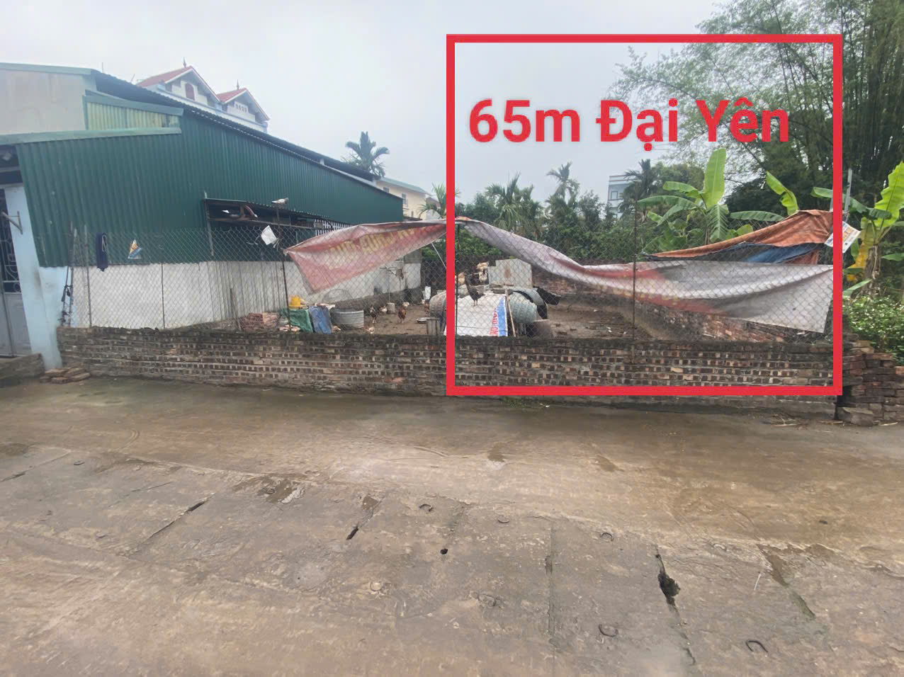 z6481870288276_099abea572c6e8f203e70ed8425cb93b