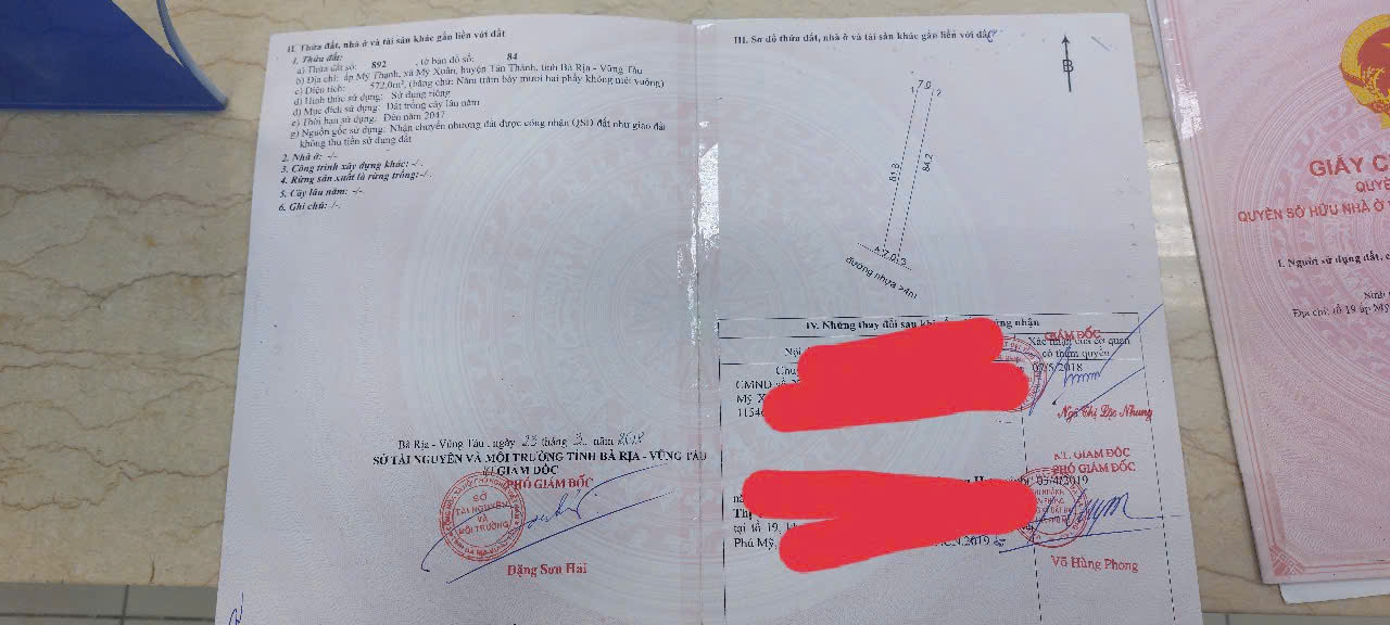 z6483584607449_3ad4e537c5a69420037a8a66d9868bff