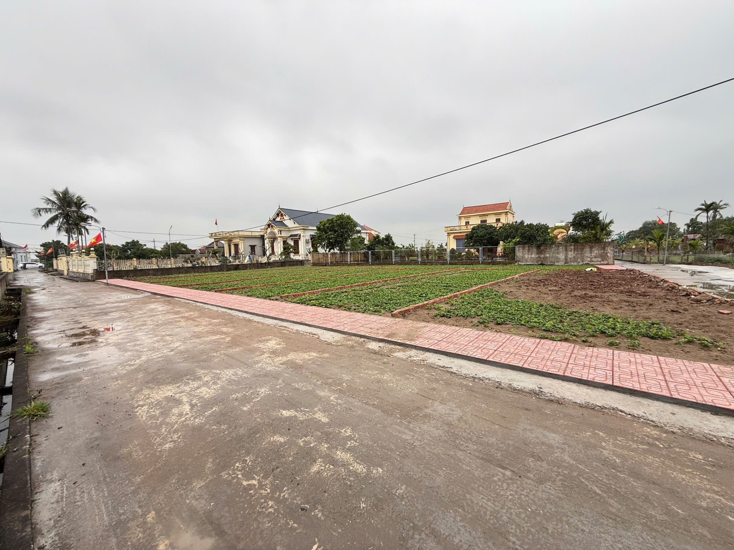 z6484459048171_95d475bd8347d73bcc7ff16fd037c632